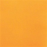 COLOURFUL DAYS COLOURBOARD 160GSM A4 ORANGE PACK 100