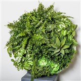 PLANT IMAGE VERTICAL WALL GARDEN ROUND LARGE