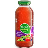 SPRING VALLEY APPLE AND BLACKCURRANT JUICE GLASS 300ML CARTON 24