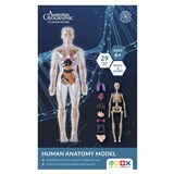 AUSTRALIAN GEOGRAPHIC ECO WORKSHOP HUMAN ANATOMY