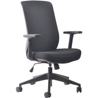 Ergonomic Chairs